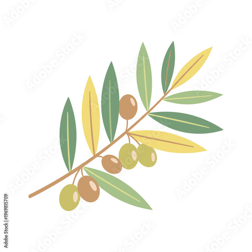 Olive branch with green and brown olives png illustration