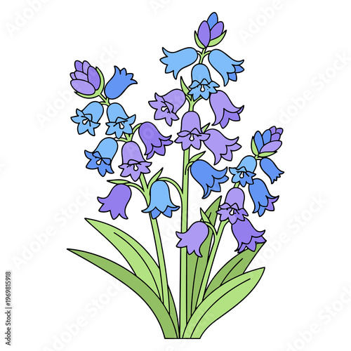 Bluebell flowers bouquet flat png illustration