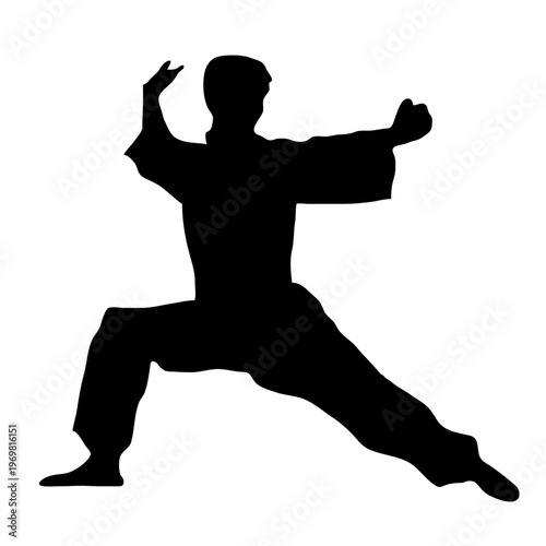 man practicing a martial arts stance, karate, taekwondo