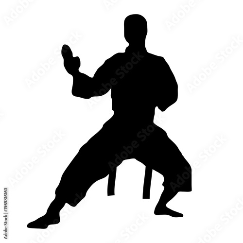 Karate, Wushu, Pencak Silat, martial artist in a dynamic combat stance