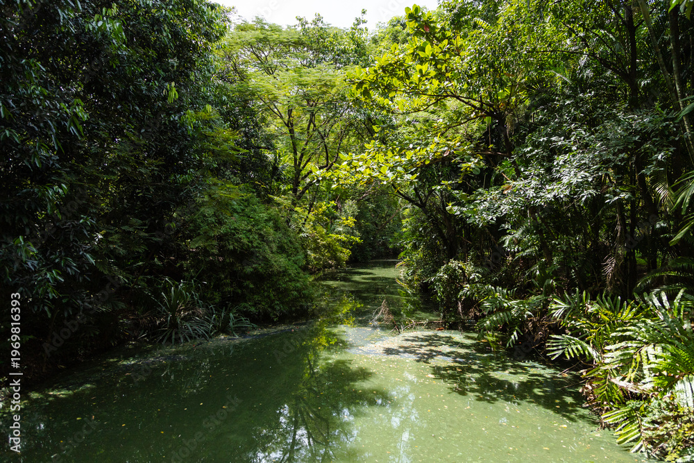 Fototapeta premium Scenic Waterway Surrounded By Dense Green Trees