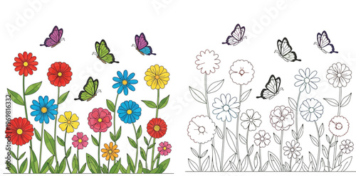 Colorful Garden Flowers and Butterflies Illustration Set with Black and White Outline Coloring Page for Kids Activity, Spring Nature Floral Vector Background for Educational Worksheet