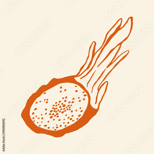 A minimalist vector illustration of Dragon Fruit Line Art Vector for Kids Hand Drawing and Learning Simple Tropical for packaging, branding, menus and healthy design Fruit Outline Illustration
