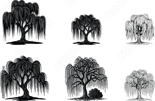 Weeping Willow Tree Silhouettes Collection with Detailed Natural Designs, Black Vector Set for Nature, Landscape, Botanical, Garden, and Decorative Projects