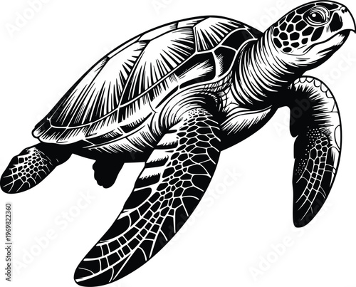 Engraving Detailed black and white line art vector illustration of a sea turtle swimming, ocean wildlife animal outline for nature-themed designs.