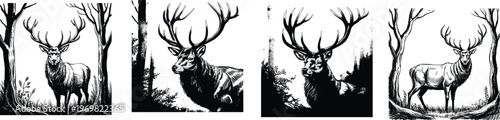 Engraving Deer stag in forest landscape vector illustrations in dark woodblock style with large antlers and woodland trees for hunting lodge decor and wilderness nature themed backgrounds.