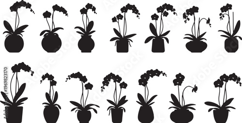 Elegant collection of potted orchid plant silhouettes, showcasing beautiful floral designs for decorative and illustrative purposes, perfect for various creative projects