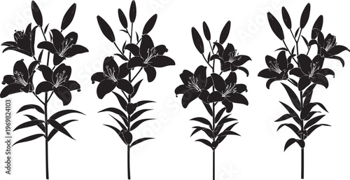 Elegant vector collection featuring four distinct lily flower arrangements in stark black silhouettes, ideal for botanical themed designs, minimalist art, and decorative graphic elements