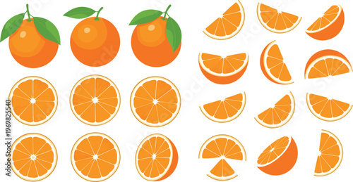 Orange Fruit Collection with Whole Fruits Cross Sections and Various Slice Shapes Fresh Citrus Vector Illustration Set Isolated