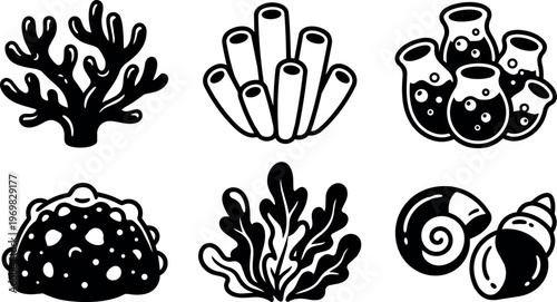 Black and white marine life vector art with coral seaweed tube sponges and shells