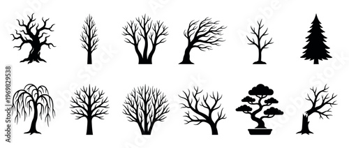Collection of diverse black silhouette tree icons representing various species and forms, including deciduous, coniferous, and stylized trees for design elements.