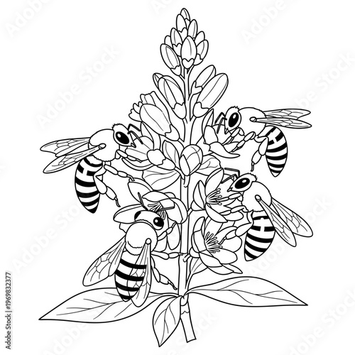 Wild honeybees gathering nectar on blooming bush isolated on transparent background  