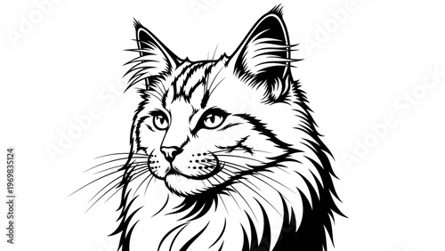 Majestic Maine Coon Cat Portrait, Black and White Line Art, Elegant Feline Face