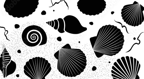 Black and white seamless pattern of seashells and marine elements  