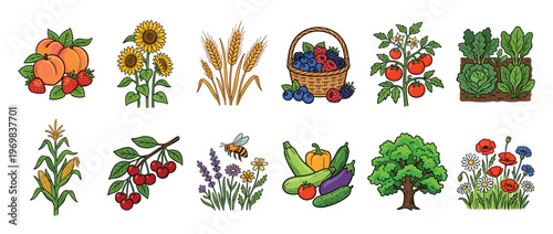 Fruits vegetables grains plants flowers and a bee in a vibrant collection of nature's bounty illustrations.
