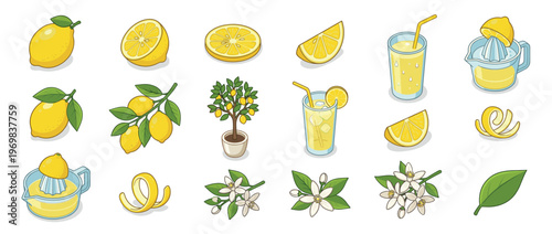 Lemon elements collection featuring fresh fruit, juice, tree, blossoms, and zest for culinary and beverage designs.