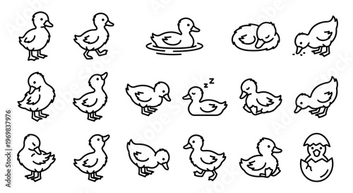 Cute ducklings vector line icons set depicting various poses and activities like swimming, sleeping, and hatching from an egg.