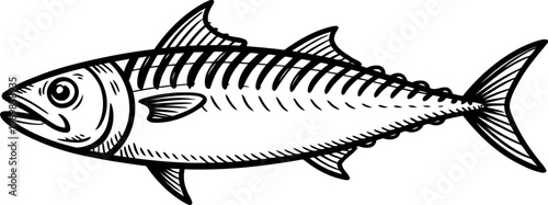 Detailed black and white illustration of a mackerel fish showing scales, fins, and open mouth, aquatic marine life drawing