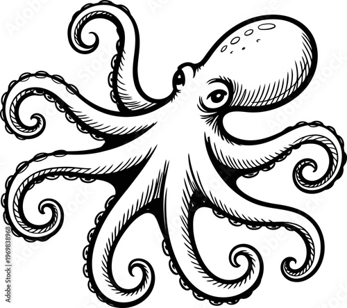 Intricate black and white octopus illustration with detailed tentacles and suction cups, vintage marine creature drawing