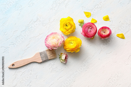 Different ranunculus flower...