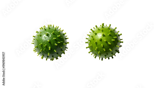 Two green, spiky spheres on black background, resembling microscopic organisms