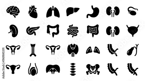 Black Silhouette Human Internal Organ Icons Set Featuring Heart Brain Lungs and Digestive System