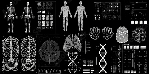 Anatomical illustrations and medical scans displayed against a dark background