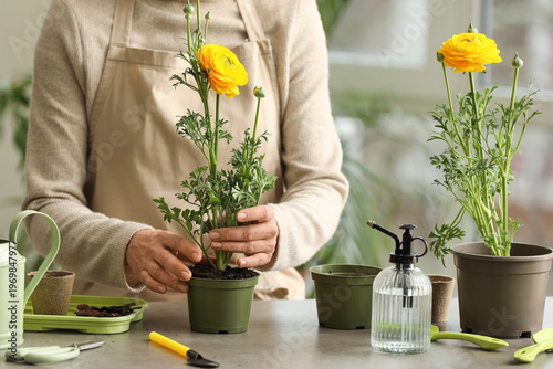 Woman planting beautiful ra...