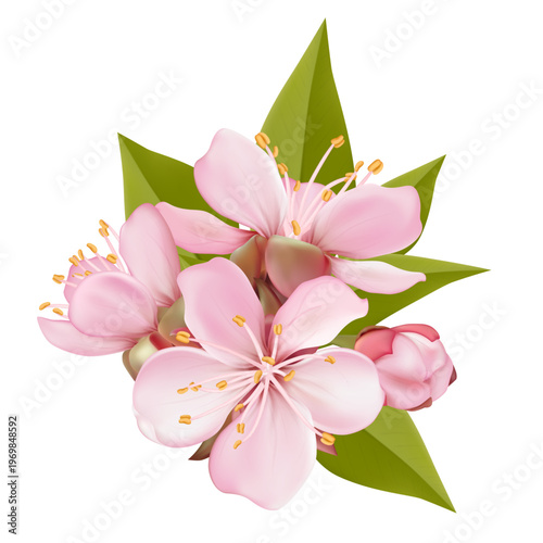 Realistic pink sakura blossom branches with buds and falling petals. Elegant spring floral elements isolated on light background