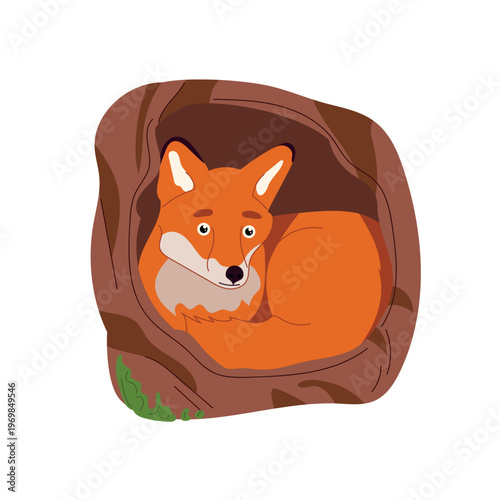 Cute fox in a tree hollow, adorable cartoon forest animal character, woodland fauna illustration, children's design, flat vector isolated on white background.