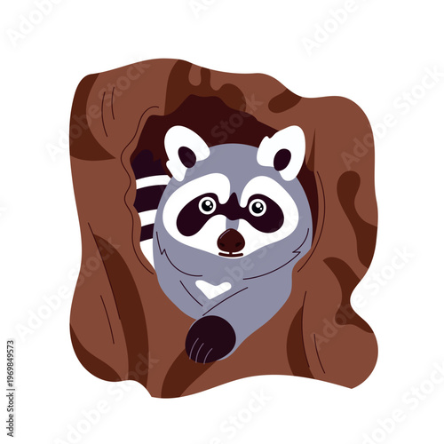 A cute raccoon peeking out from a tree hollow. Vector flat illustration, forest animal in a woodland habitat, cartoon style, wildlife clip art design.