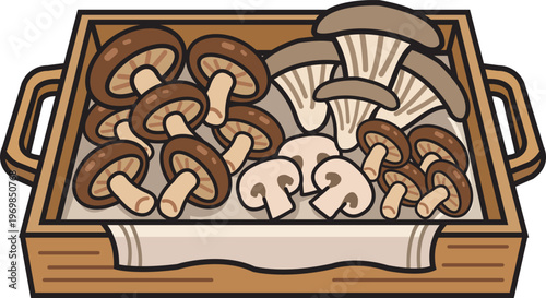 Harvest Tray of Fresh Wild Mushrooms in Wooden Basket for Autumn Foraging and Cooking