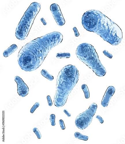 Clostridium botulinum illustration