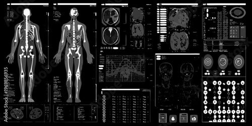 Full body scan displays anatomical structures and medical imaging data