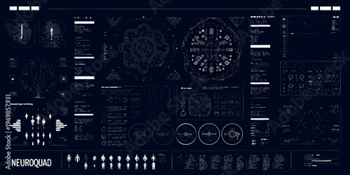 Complex neurological interface display with anatomical visualizations and data streams