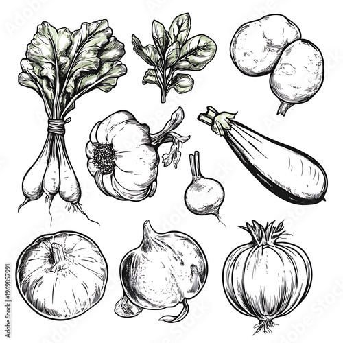 Monochrome Vegetable Illustration for Healthy Eating