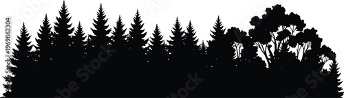 Forest tree silhouettes landscape with pine and deciduous trees isolated on white background, black nature skyline representing woodland, environment, wilderness, ecology, and outdoor scenery concept