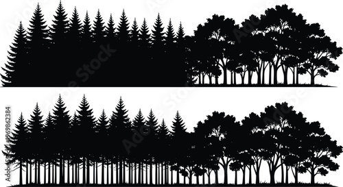Forest tree silhouettes panorama with conifer and deciduous woodland isolated on white background, nature landscape illustration, dense woodland horizon, black silhouette scenery