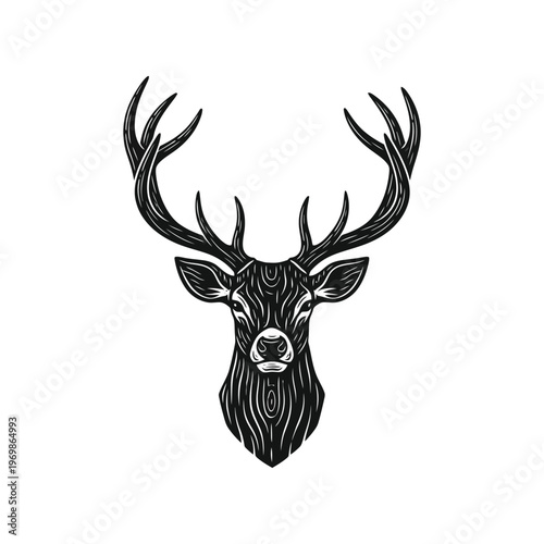 Black and white drawing of a deer's head with antlers isolated on white background, Vector, illustration