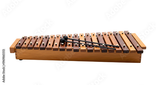 A wooden xylophone with brown and tan keys isolated on transparent background