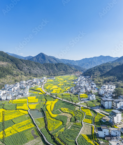 Wallpaper Mural Aerial View of Wuyuan’s Yellow Rapeseed Terraces and White-Walled Villages Nestled in Green Mountains Torontodigital.ca
