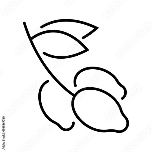 Honeysuckle berry icon. Nature and berries line symbol. Black and white.