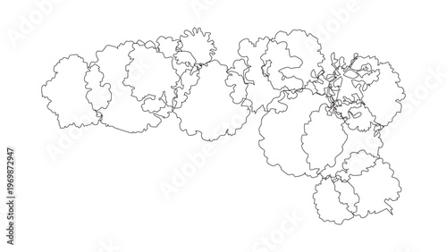 Top view line art of clustered trees forming organic natural shapes on transparent background.