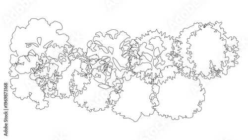 Overhead line drawing of multiple clustered trees with organic shapes on transparent background.