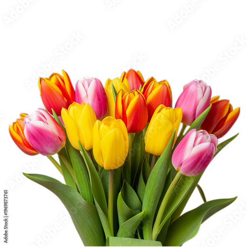 Vibrant and Colorful Spring Tulips Bouquet, A Fresh Floral Display for Backgrounds and Designs