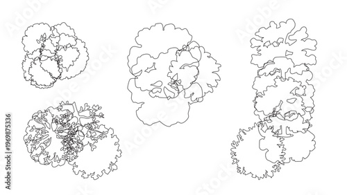 Landscape design tree symbols top view set for site mapping and architectural garden plans.