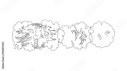 Horizontal row of architectural tree symbols for landscape border design and site plan views.