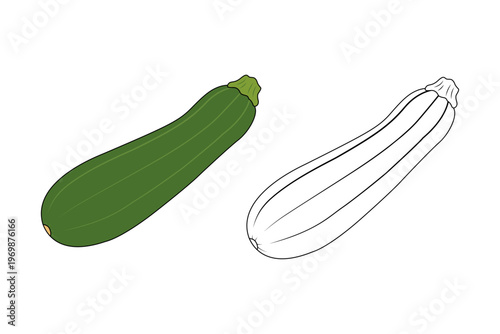Zucchini Whole Vegetable Vector Set – Green Squash Clipart and Black White Coloring Page for Kids, Simple Flat Food Illustration