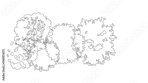 Overhead view tree clusters for professional landscape design and architectural project drafts.