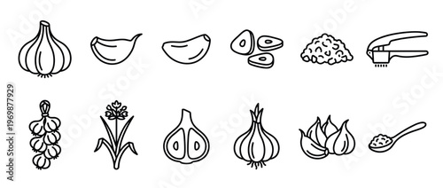Garlic food ingredient line art icons set depicting whole bulbs, cloves, minced, sliced, and a press for cooking.